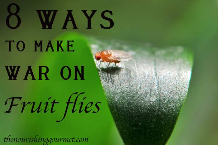 http://www.thenourishinggourmet.com/wp-content/uploads/2013/05/8-ways-to-make-war-on-fruit-flies.jpg