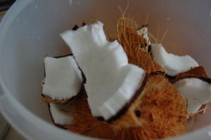ng_coconutpieces