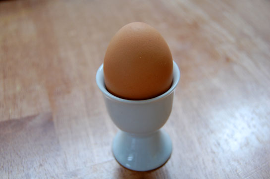ng_egg