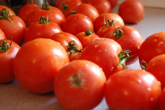 ng_tomatoes