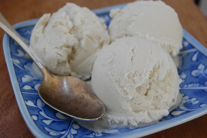 Vanilla Coconut Milk Dairy-Free Ice Cream | Homemade Ice Cream Recipes Everybody Can Enjoy
