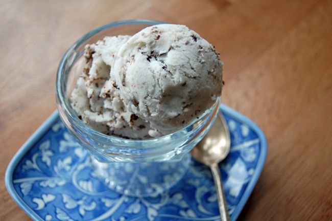 Creamy coconut milk is naturally sweetened, flavored with mint, and studded with dark chocolate chunks for an AMAZING dairy free and egg free ice cream! A beloved favorite ice cream flavor, that's paleo and vegan too! --- The Nourishing Gourmet