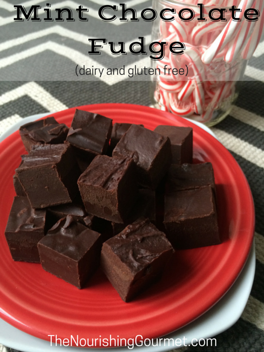 Mint Chocolate Fudge (dairy and gluten free)