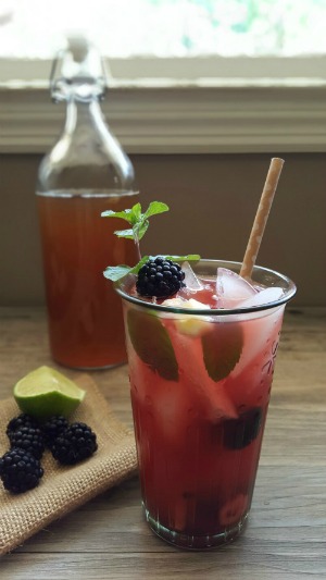 This sparkling, cultured mocktail is filled to the brim with wild summer flavors - fresh mint, ripe blackberries and a spicy-sweet ginger syrup. The bubbliness comes from mineral water and your choice of kombucha or water kefir - fermented beverages that you can easily make at home! -- The Nourishing Gourmet