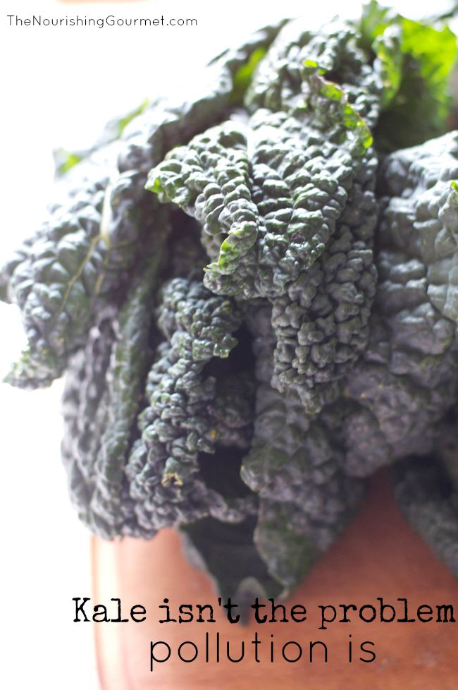 Does kale contain thallium, and is it a health risk? 