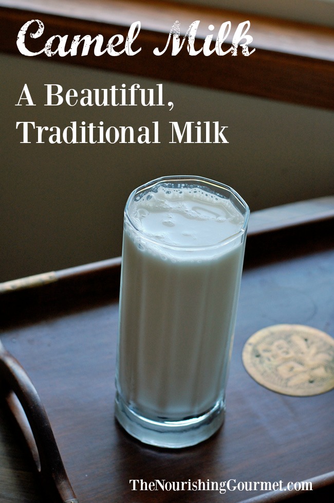 Grassfed Camel Milk - This delicious milk is wonderful for those sensitive to cow dairy and is so good for you too! 